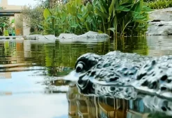 RC Robot Crocodile