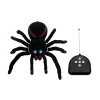 RC Tarantula