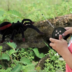 RC Tarantula