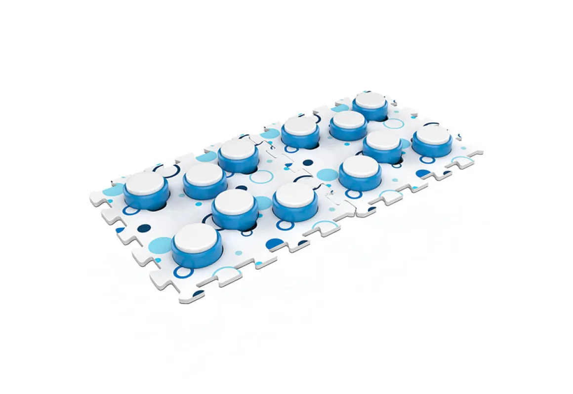 Recordable Pet Training Buttons