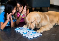 Recordable Pet Training Buttons