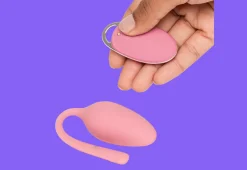 Remote Control Vibrating Love Egg