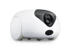 Robotic Pet Interaction Toy