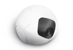 Robotic Pet Interaction Toy