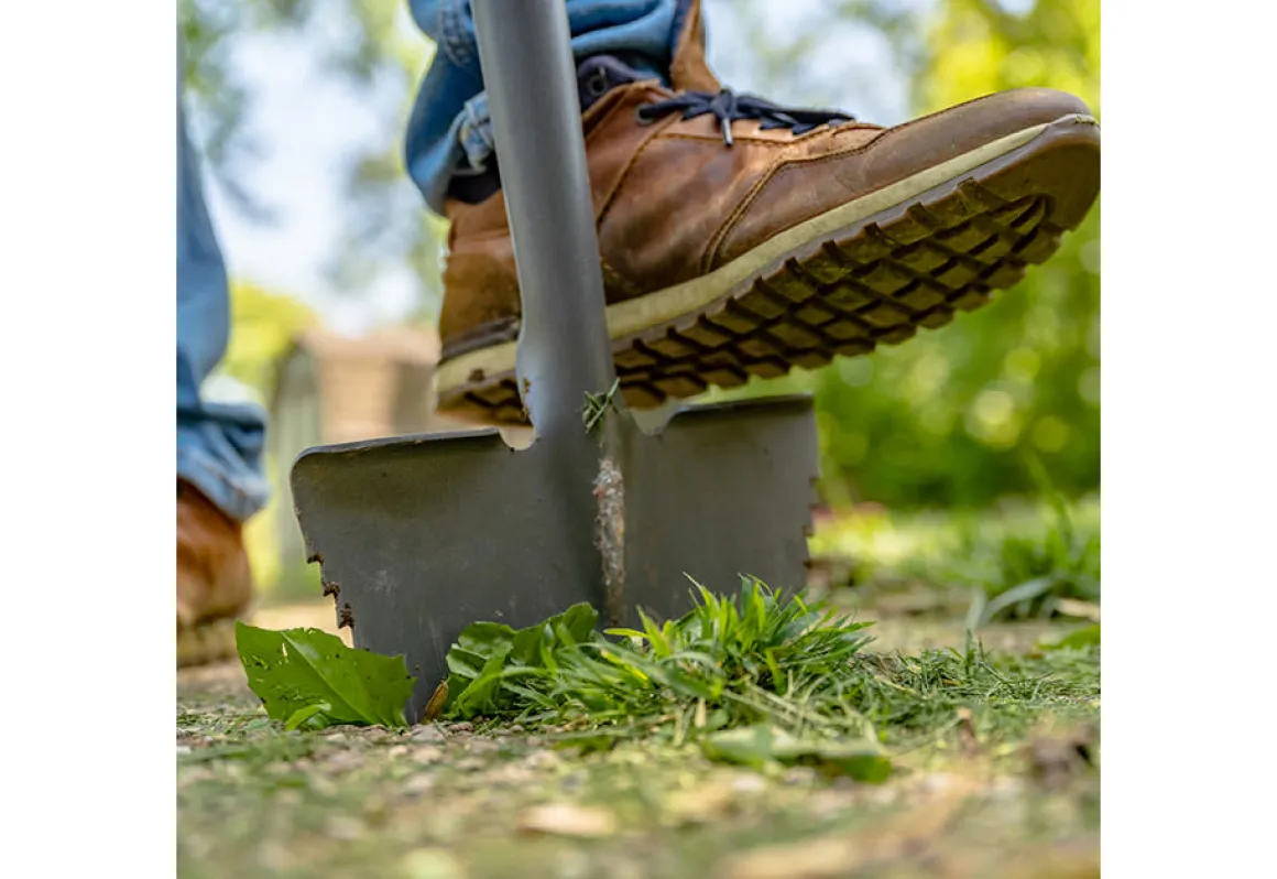 Root Slayer Edger