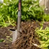 Root Slayer Perennial Shovel