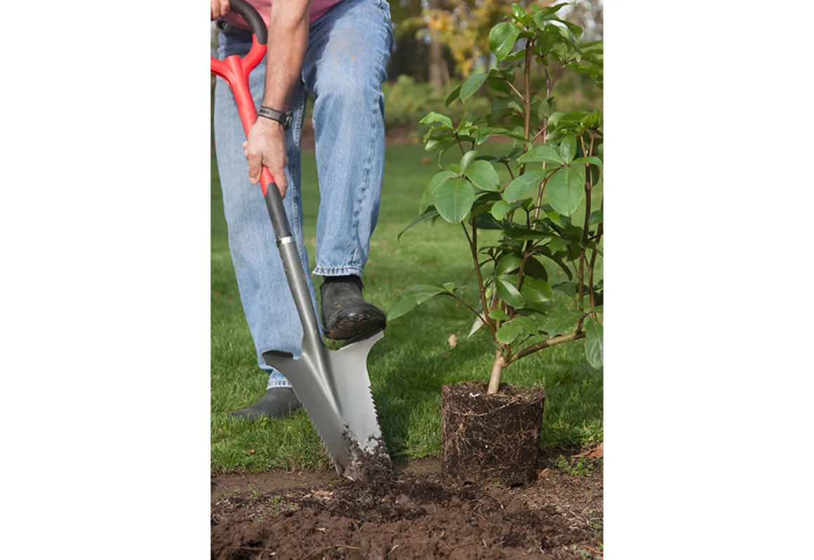 Root Slayer Soil Knife