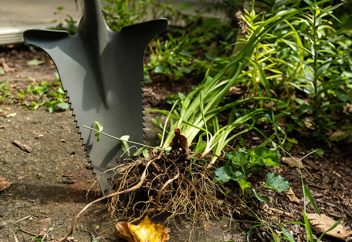 Root Slayer Soil Knife