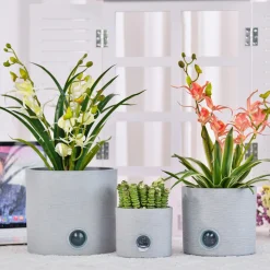 Self-Watering Cylinder Pot System for Indoor Plants (Set of 3)