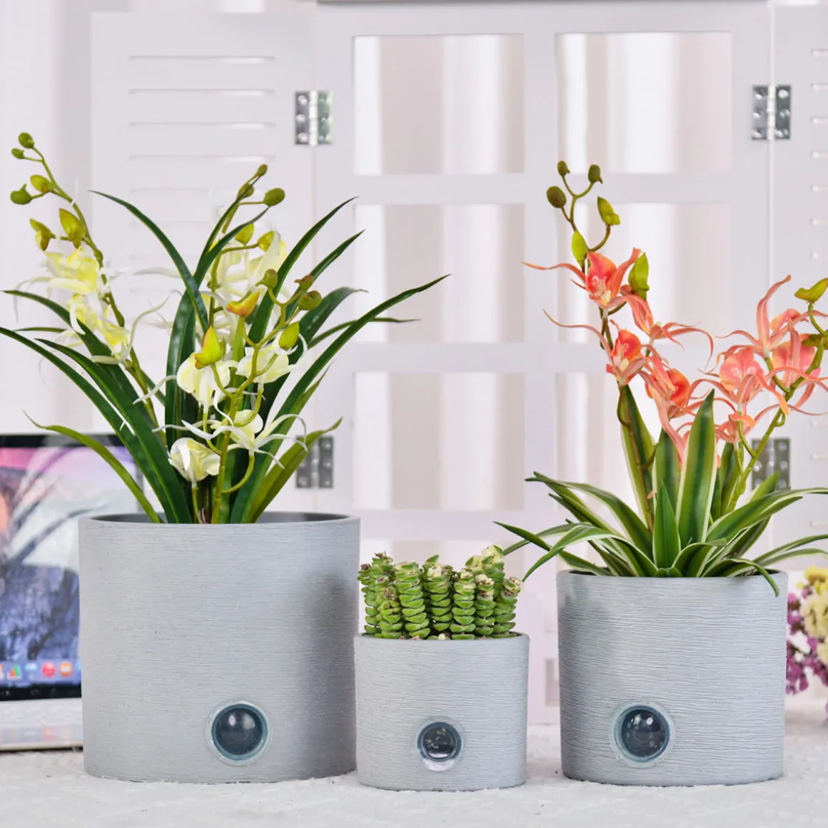 Self-Watering Cylinder Pot System for Indoor Plants (Set of 3)