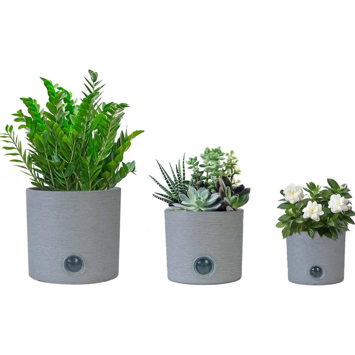 Self-Watering Cylinder Pot System for Indoor Plants (Set of 3)