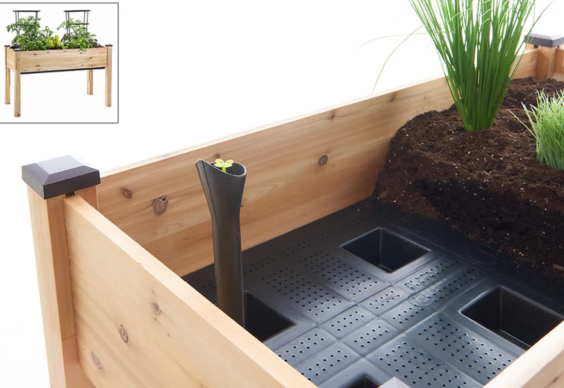 Self-Watering Planter