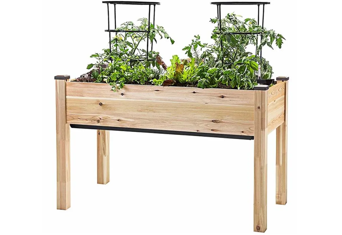 Self-Watering Planter