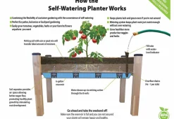 Self-Watering Planter