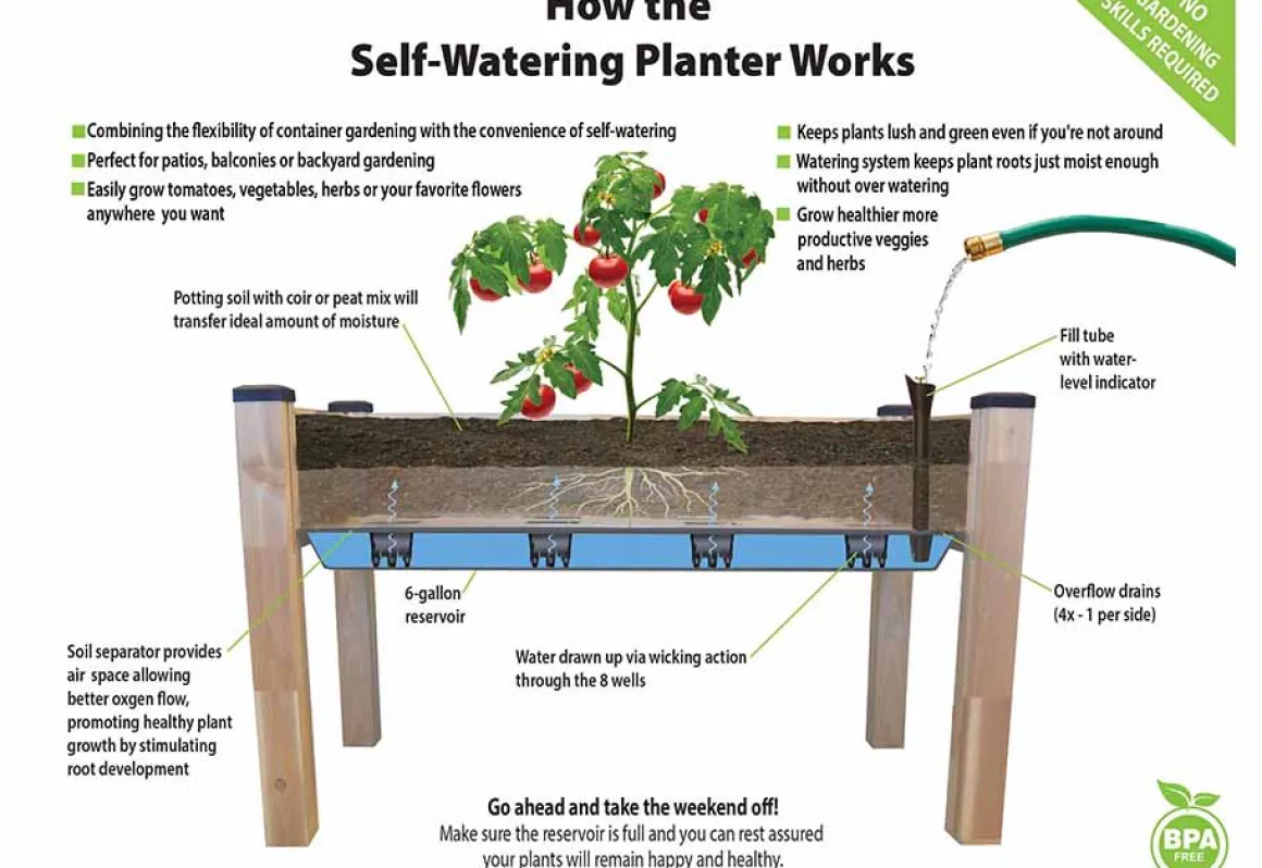 Self-Watering Planter