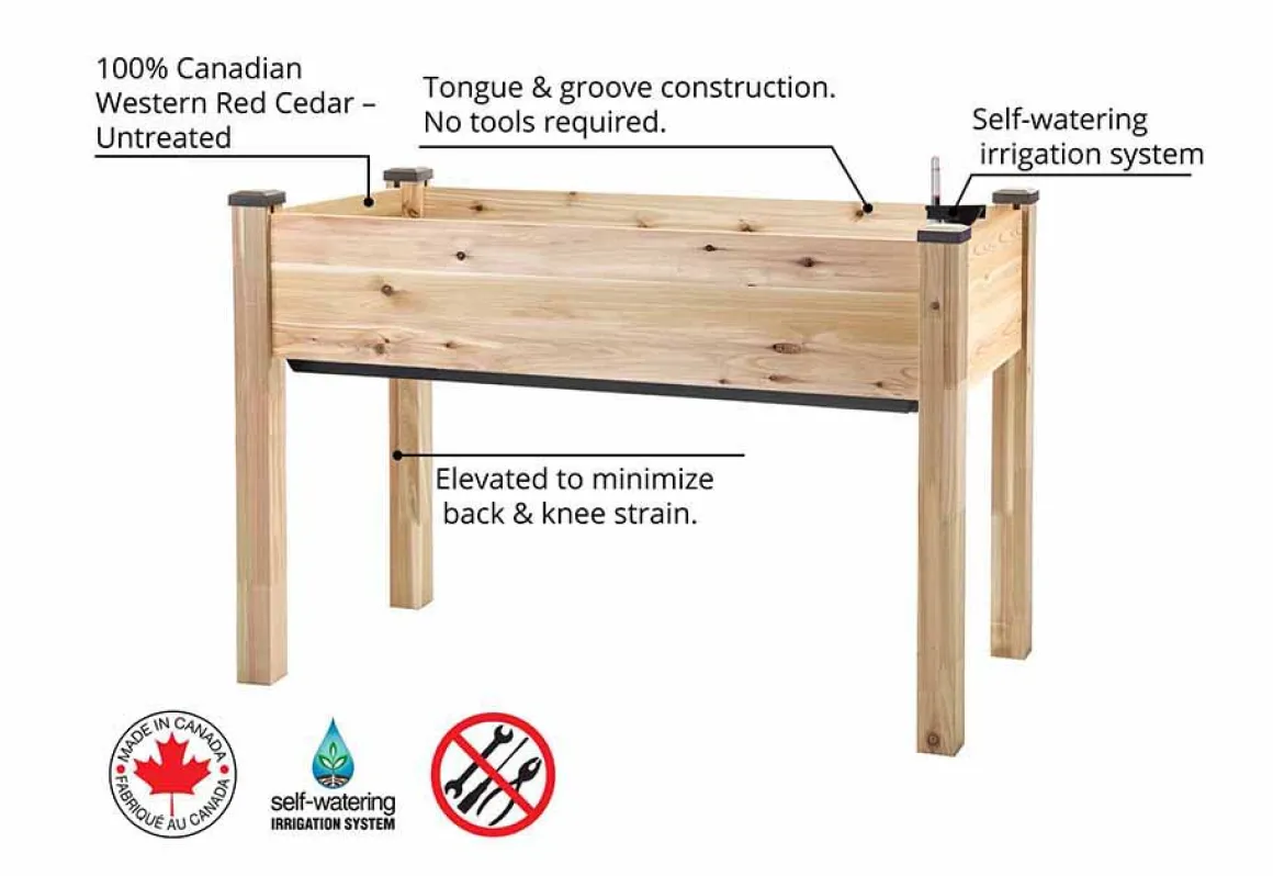 Self-Watering Planter