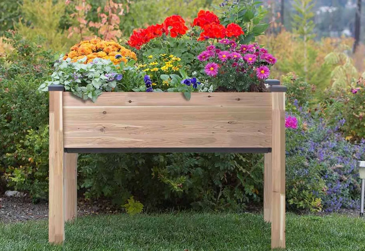 Self-Watering Planter