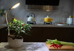 Self-Watering Planter with LED Grow Light