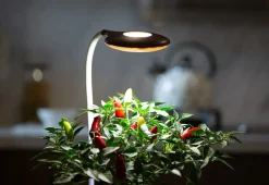 Self-Watering Planter with LED Grow Light