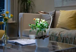 Self-Watering Planter with LED Grow Light