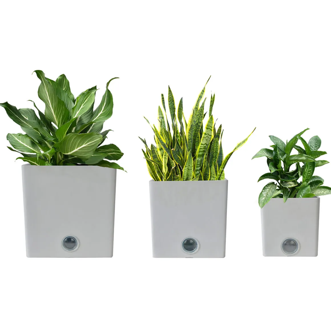 Self-Watering Square Pot System for Indoor Plants (Set of 3)