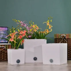 Self-Watering Square Pot System for Indoor Plants (Set of 3)