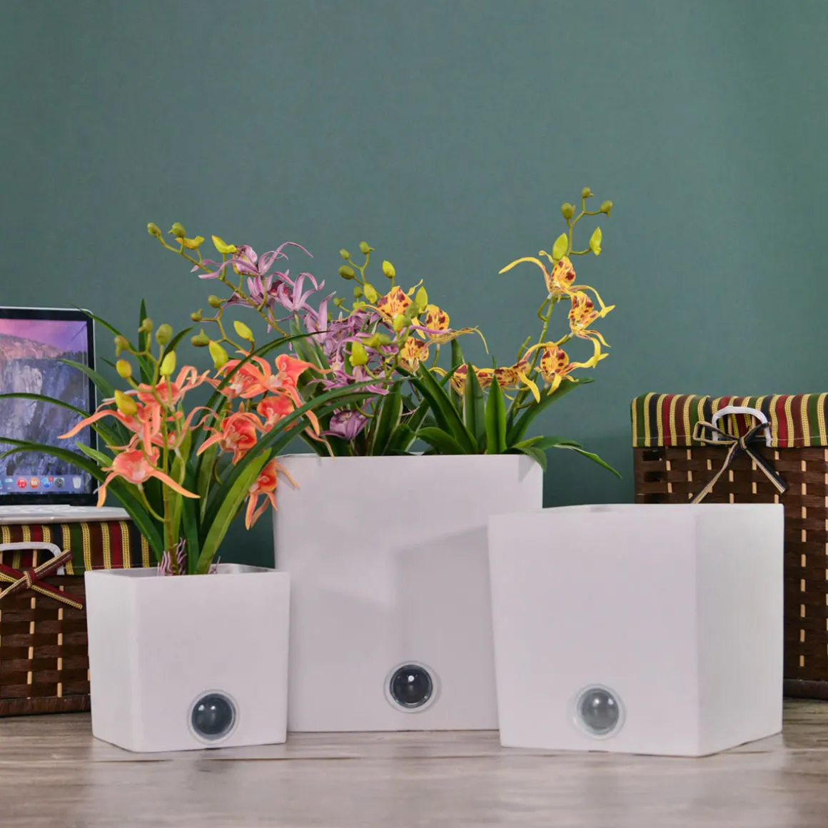 Self-Watering Square Pot System for Indoor Plants (Set of 3)