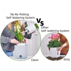 Self-Watering Tall Cylinder Pot System for Indoor Plants (Set of 3)