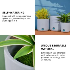 Self-Watering Tall Cylinder Pot System for Indoor Plants (Set of 3)