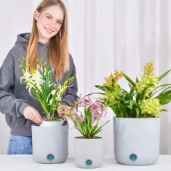 Self-Watering Tall Cylinder Pot System for Indoor Plants (Set of 3)