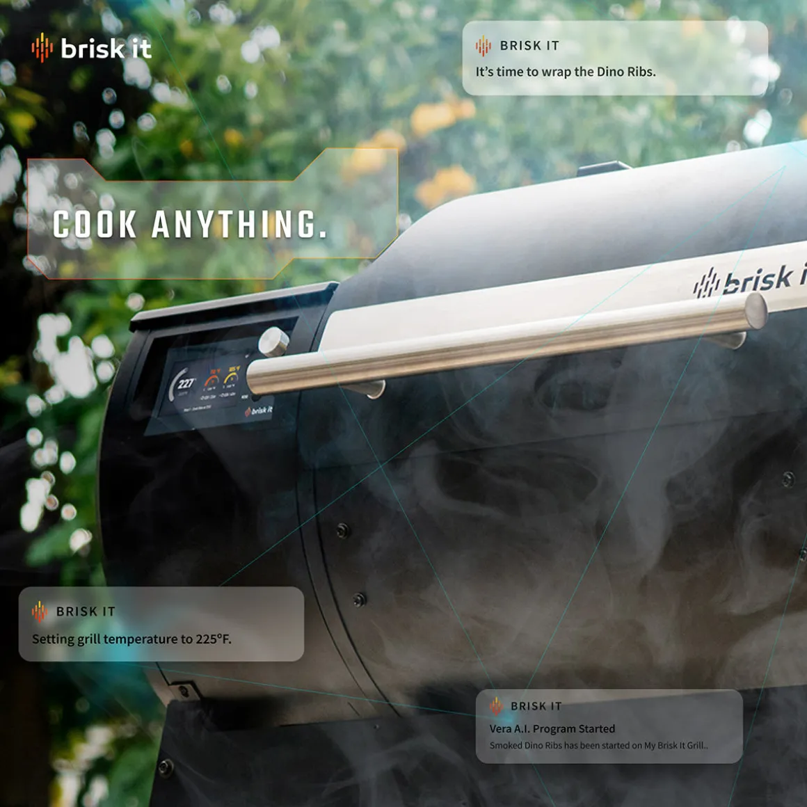 Smart Wood Pellet Smoker Grill