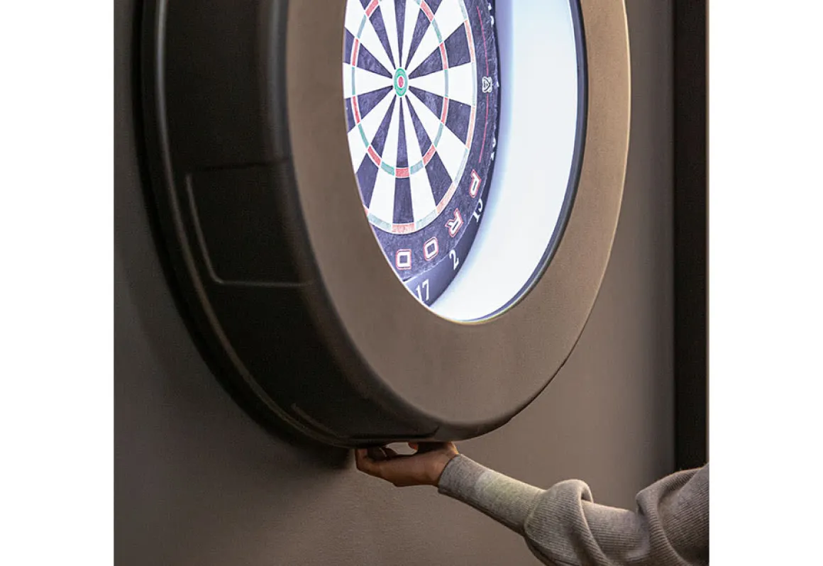 Smartest Bristle Dartboard