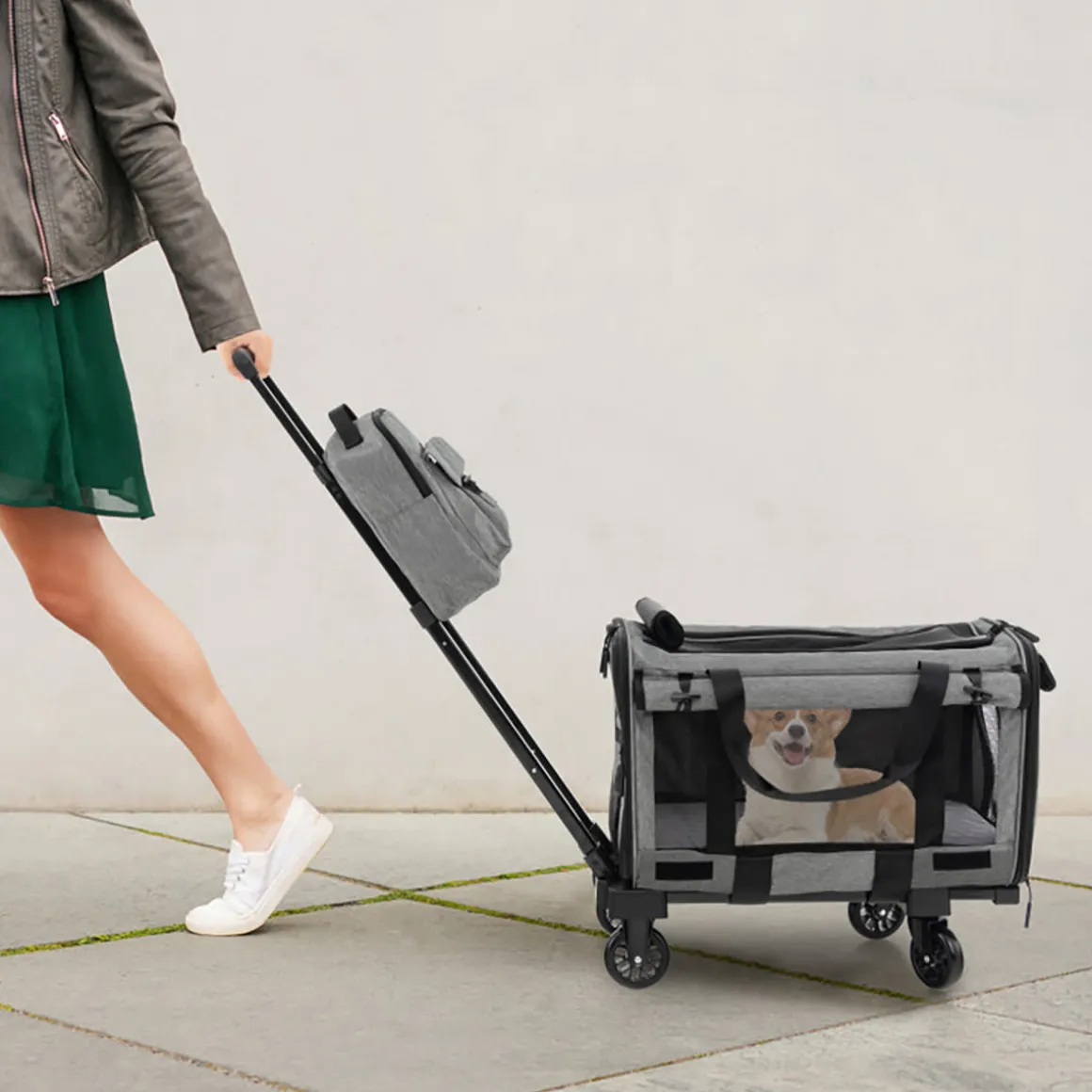 Soft Rolling Pet Carrier