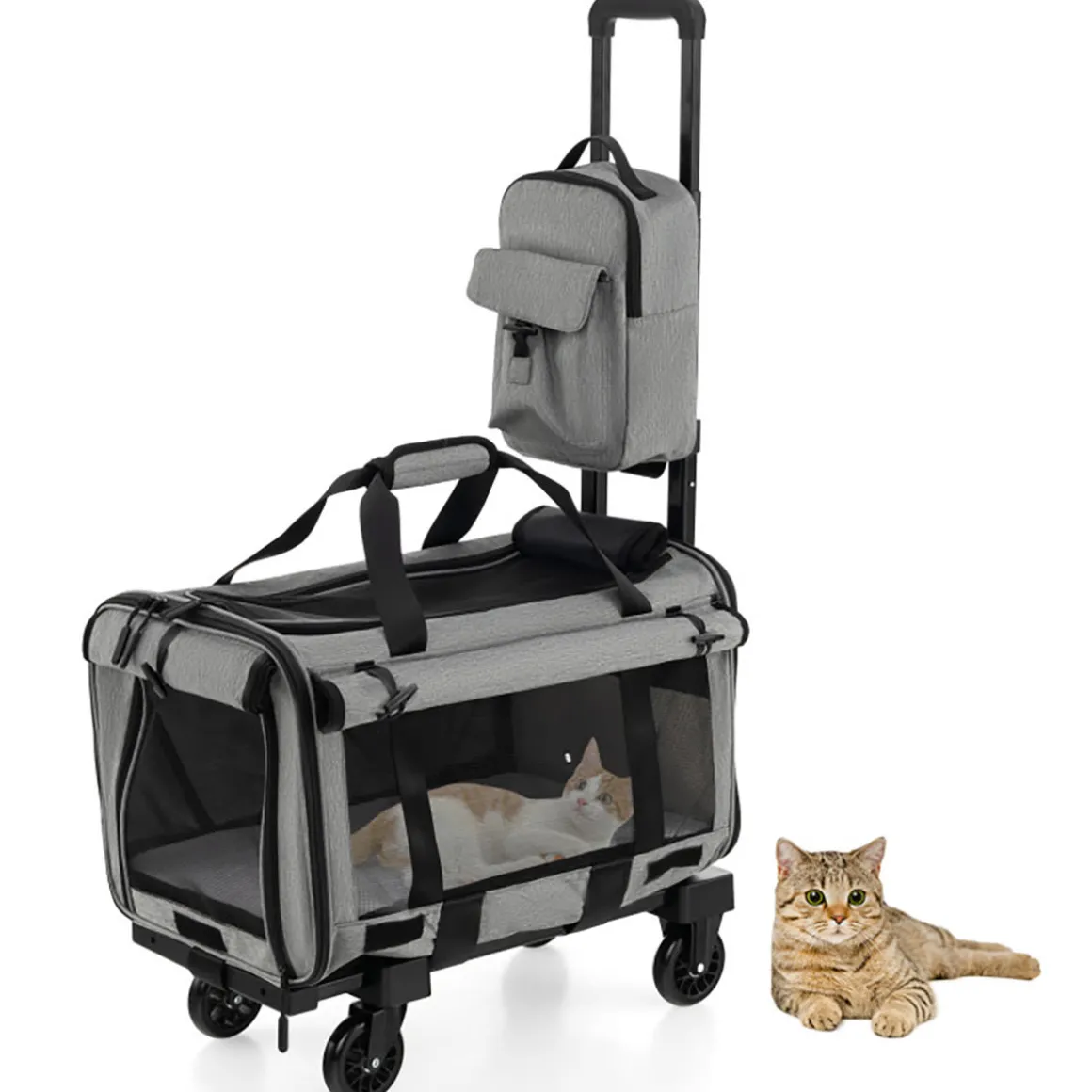 Soft Rolling Pet Carrier