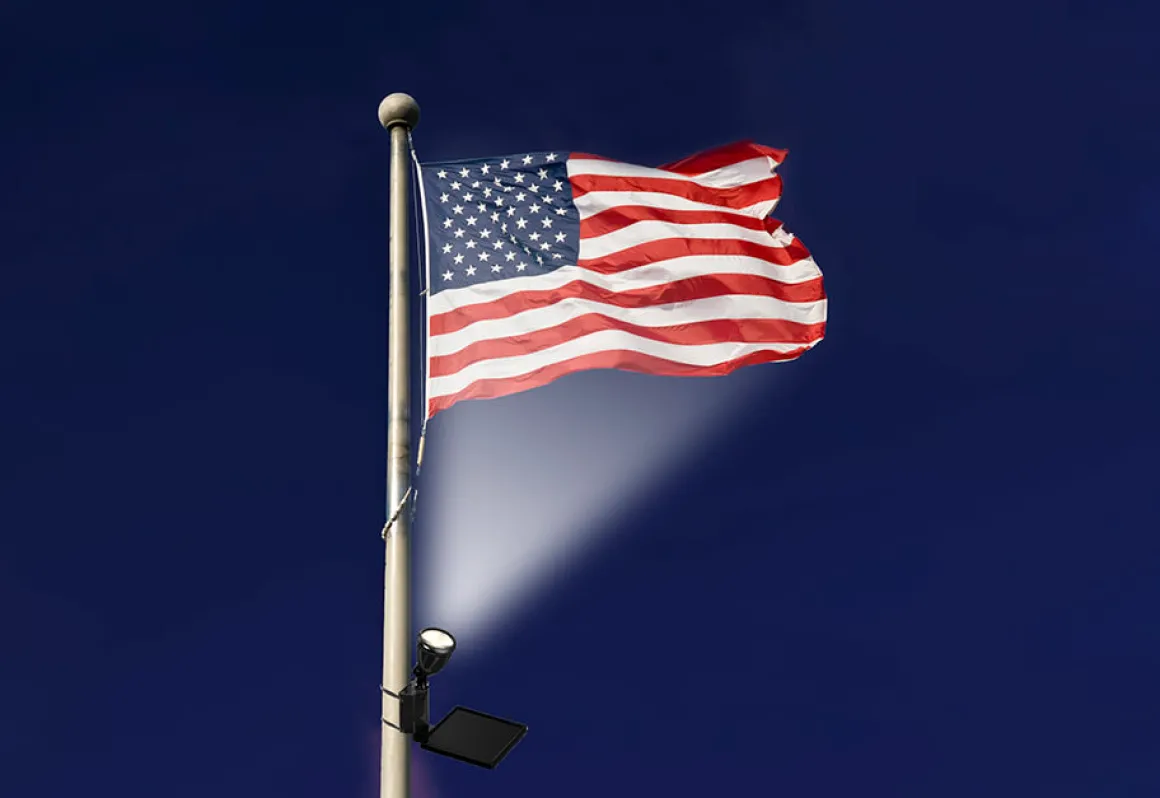 Solar LED Flagpole Light