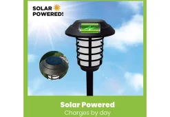 Solar Pathway Lights (Set of 4)