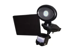 Solar Security Video Camera and Floodlight