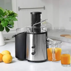 2-Speed Electric Juice Press