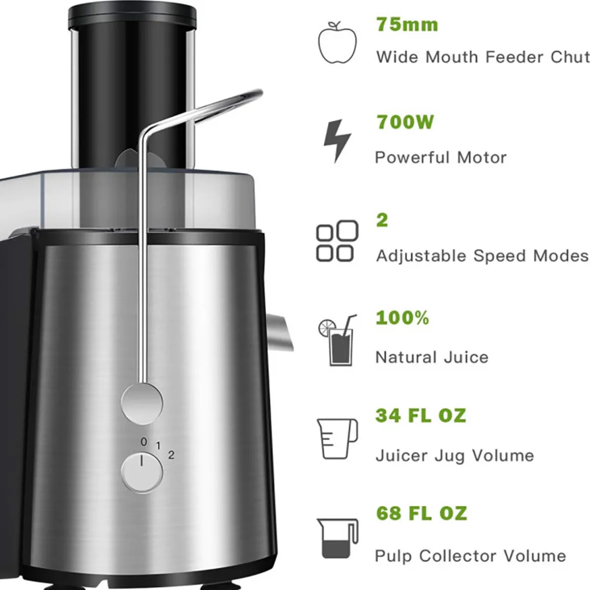 2-Speed Electric Juice Press