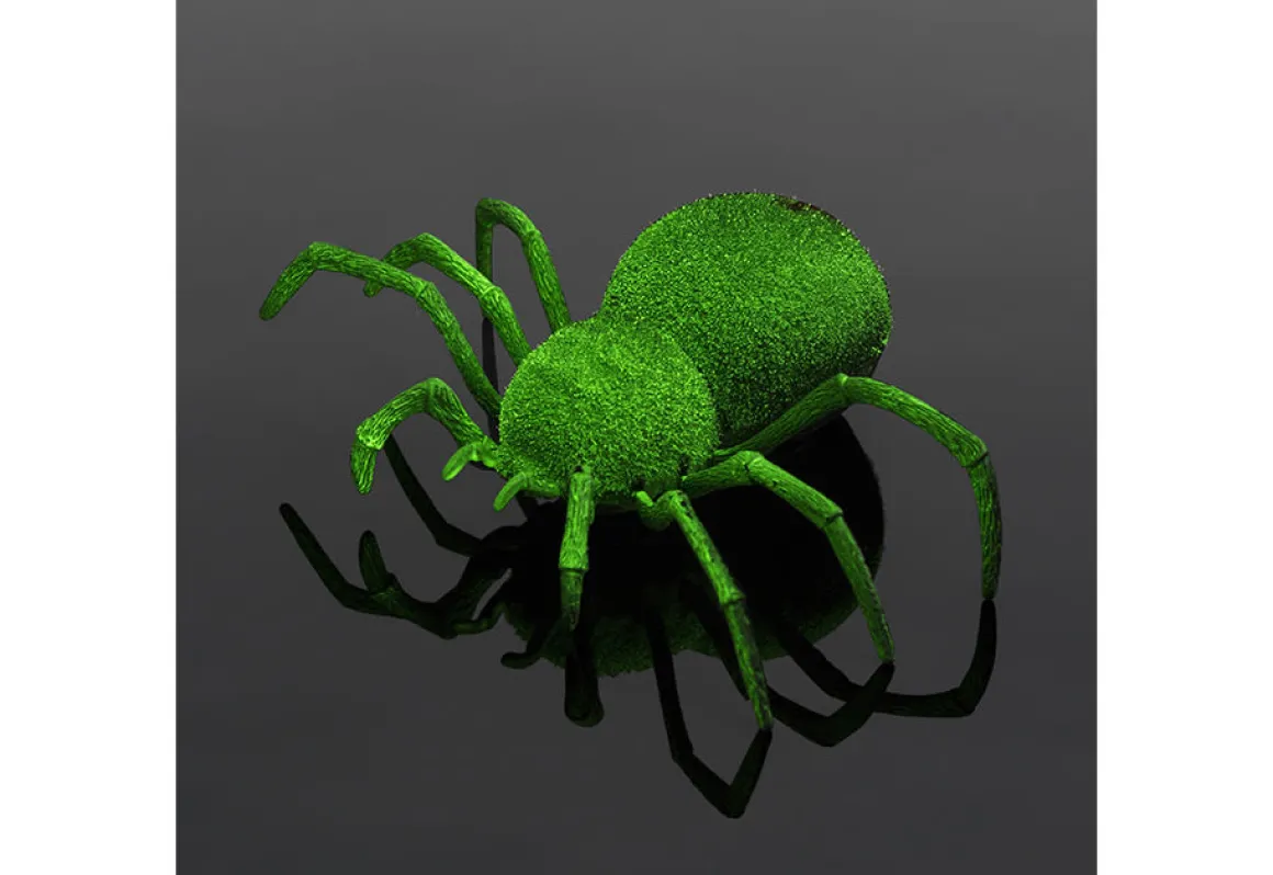 Spooky RC Spider