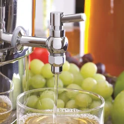 Stainless Steel Stove Top Steam Juicer