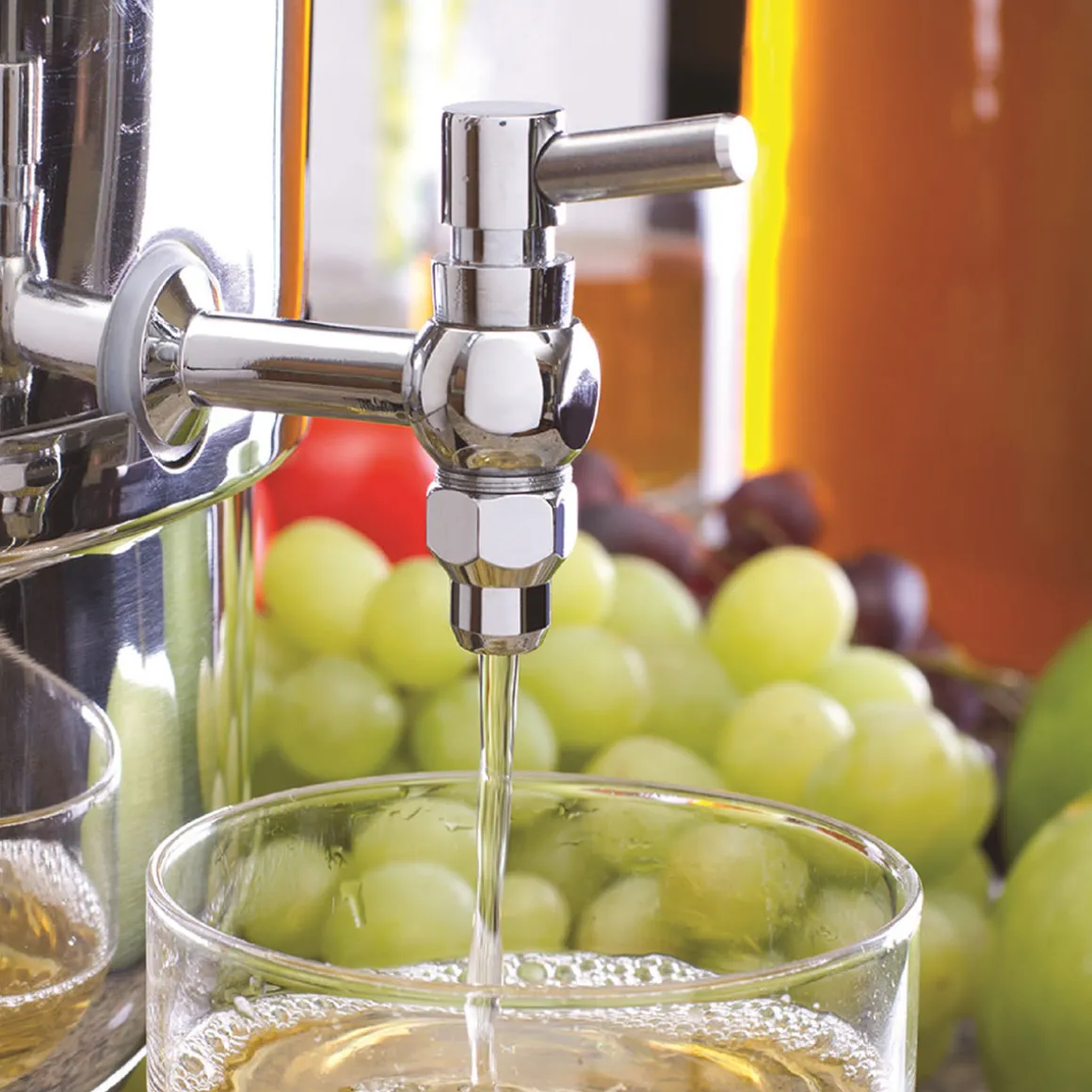 Stainless Steel Stove Top Steam Juicer