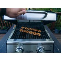 Tabletop Propane Gas Grill