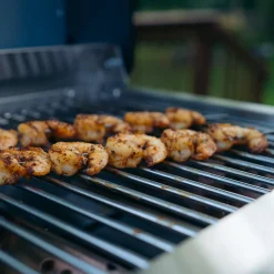 Tabletop Propane Gas Grill