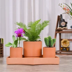Tabletop Self-Watering Pot System for Indoor Plants (Set of 3)