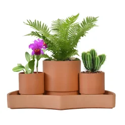 Tabletop Self-Watering Pot System for Indoor Plants (Set of 3)