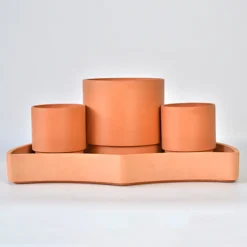 Tabletop Self-Watering Pot System for Indoor Plants (Set of 3)
