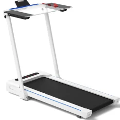 Treadmill Desk