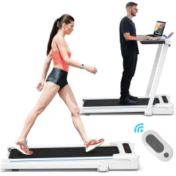 Treadmill Desk