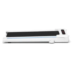 Treadmill Desk